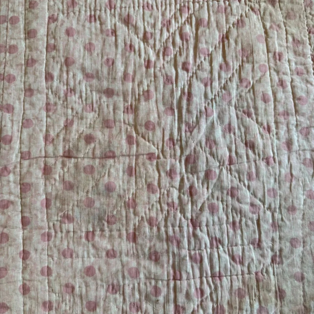 Antique Handmade 19th Century Patchwork Friendship Signature Quilt Calico 76x82